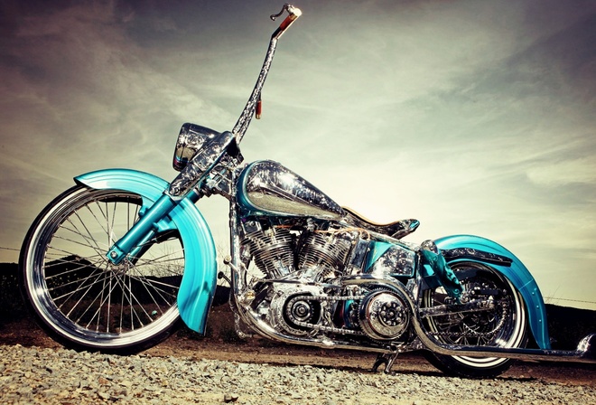 harley davidson, custom, thunderbike