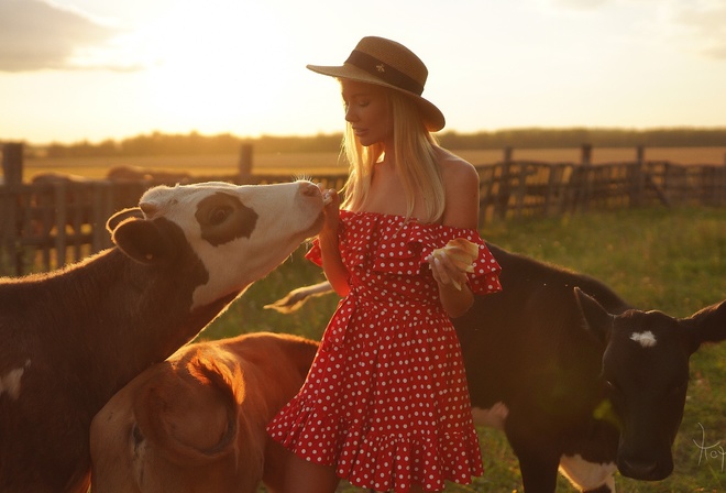 women, Andrey Popov, blonde, boobs, nipples, brunette, women outdoors, hat, animals, cow, bare shoulders, red dress, polka dots