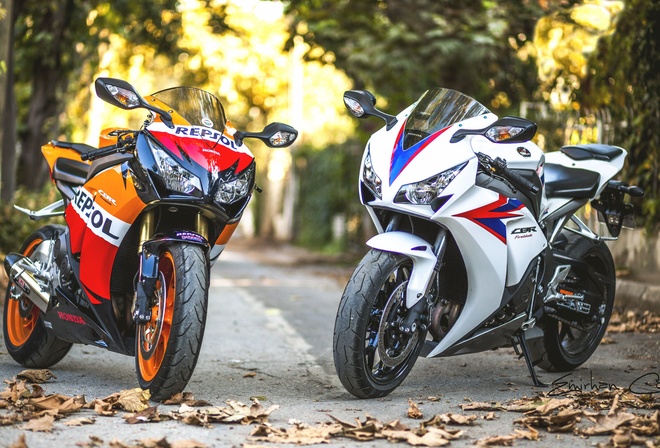 Honda, Cbr1000, , , , 