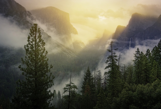 лес, лучи, свет, деревья, горы, туман, скалы, склоны, вершины, вид, высота, утро, ели, сосны, США, Йосемити