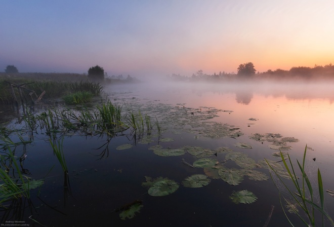 Река, туман, утро, фотограф, андрей олонцев