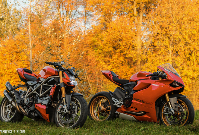 500px, motorcycle, fall, leaves, orange, ducati 1199 panigale, Ducati Streetfighter S