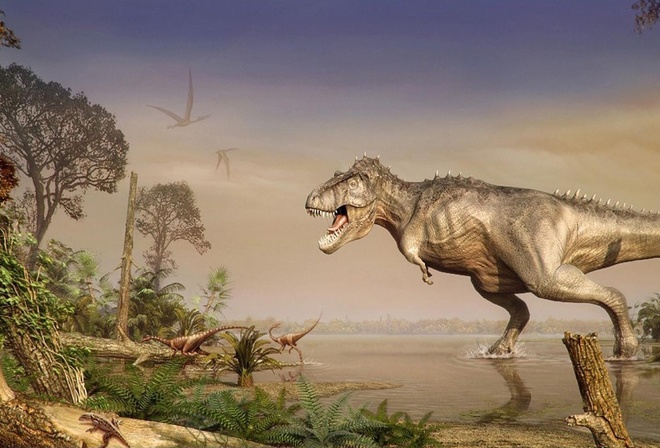 ��������, ��������