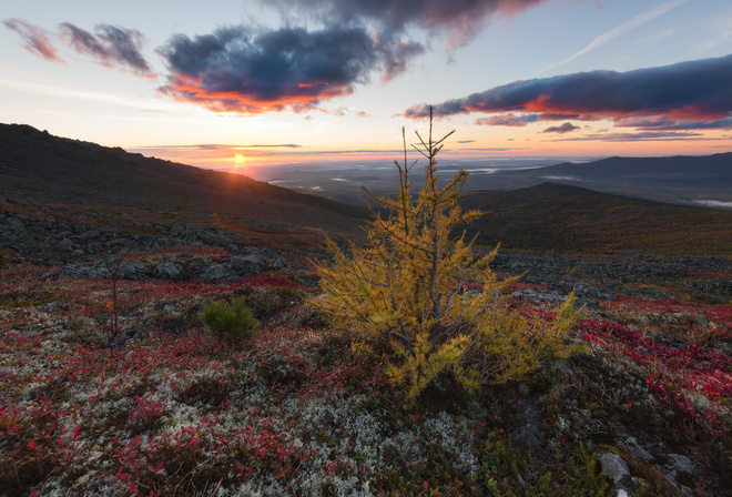 ����, ����, ������ �������