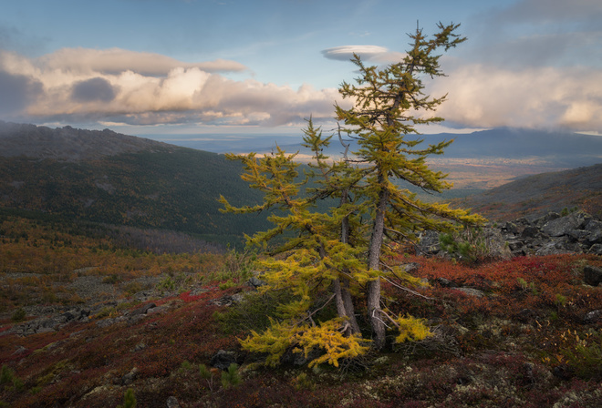 ����, ������, ������ �������