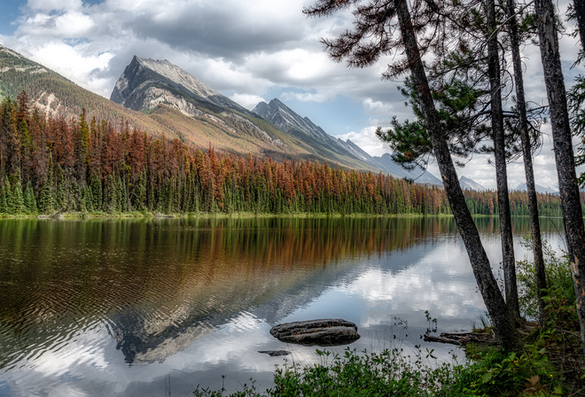 Канада, Горы, Озеро, Honeymoon, Lake, Alberta, Деревья, Природа