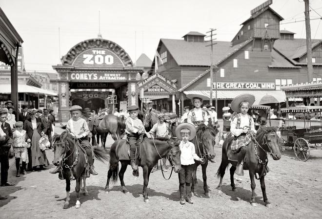 люди, дети, пони, зоопарк, сша, 1904