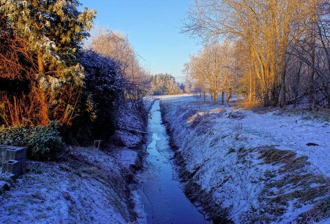канал, деревья, снег