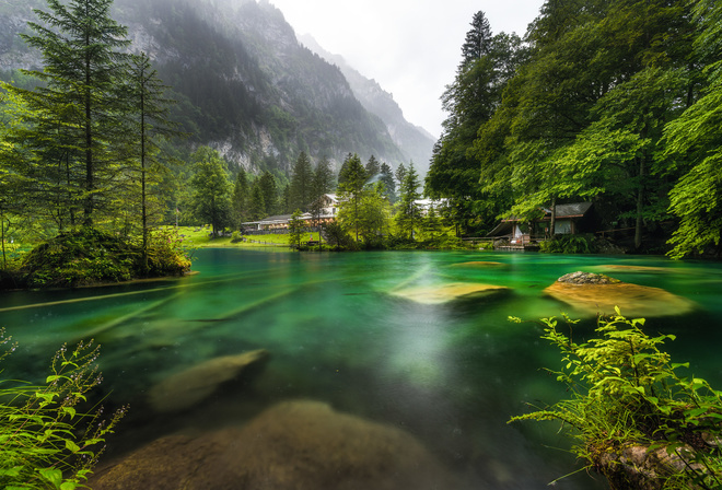 природа, швейцария, озеро, лес