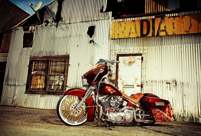 harley davidson, , , custom