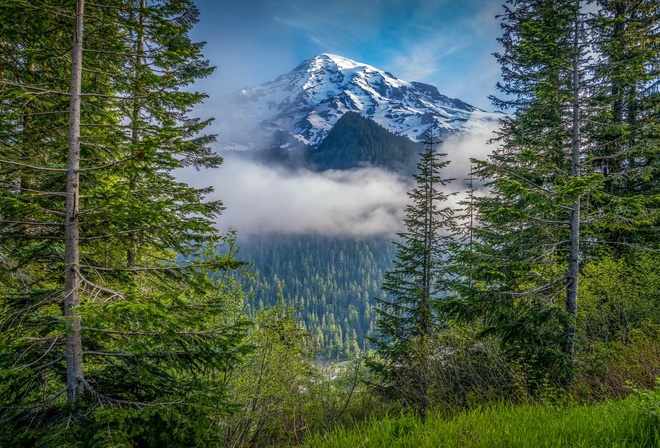 , , Mount, Rainier, National Park, , , , 