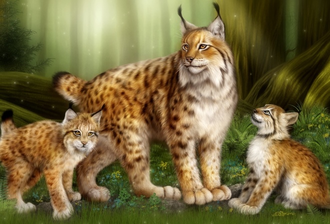 ����, ������, ���