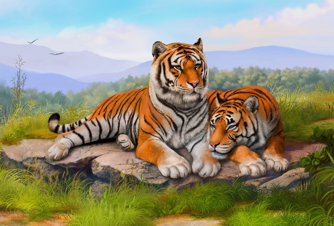 �����, �������, �����, �����, ������