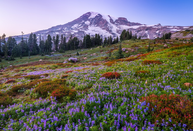 , , Mount Rainier, National Park, , , 