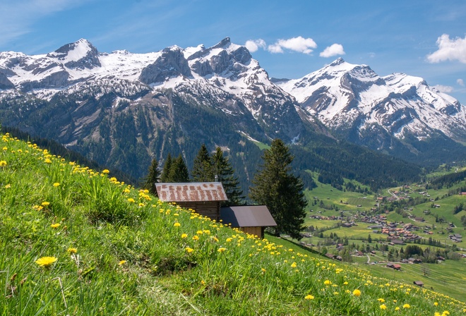, , , Bernese, Alps, 
