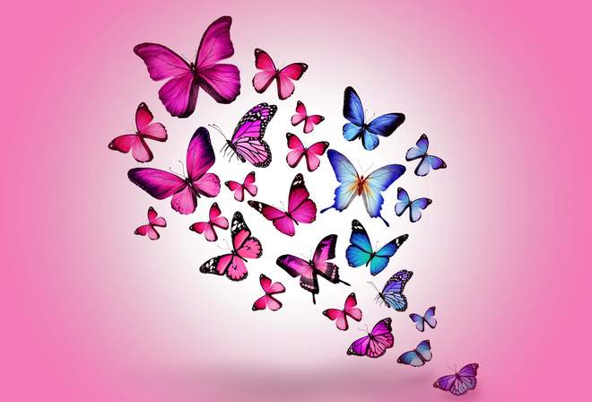 assorted, color, butterfly, wallpaper, butterfly, drawing, flying, colorful, HD, wallpaper