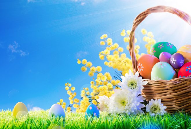 grass, the, sun, flowers, basket, spring, easter, eggs, decoration