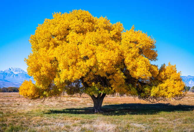 , , , , , , , , , , , , 