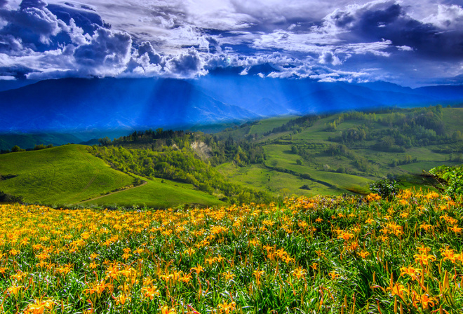 долина, цветы, горы, небо, пейзаж