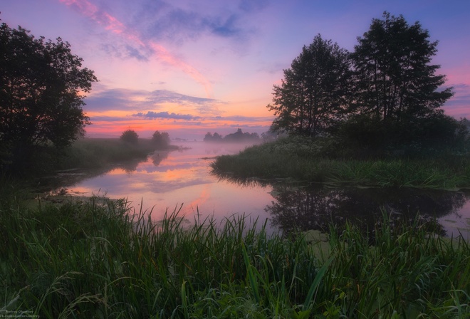 лето, речка, туман, фото, Андрей Олонцев