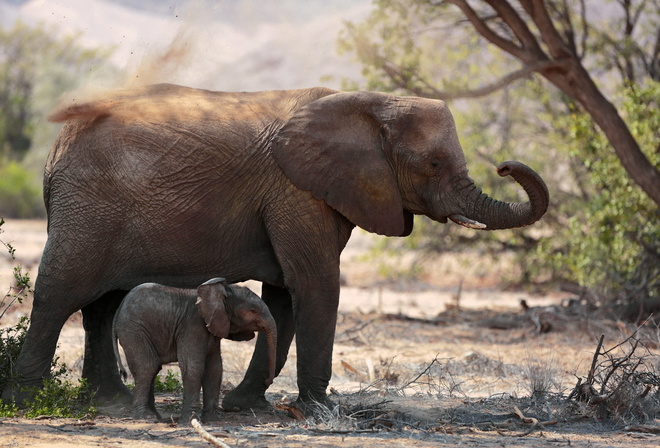 ������, �����