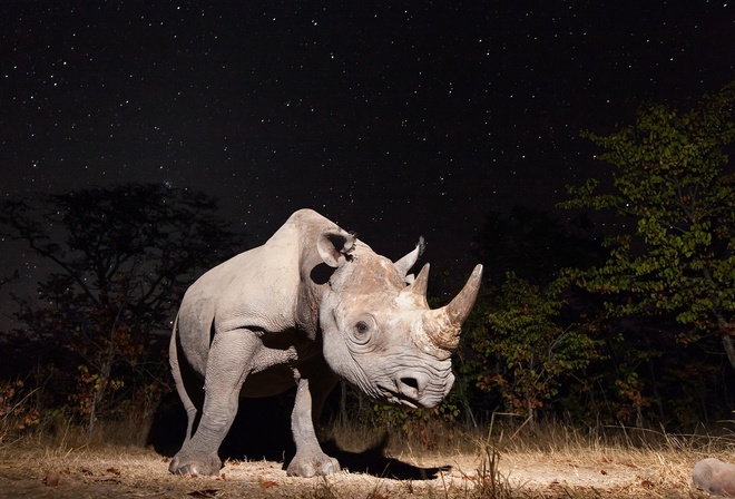 ������, �������, ����