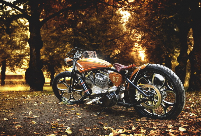 , , , harley davidson, custom