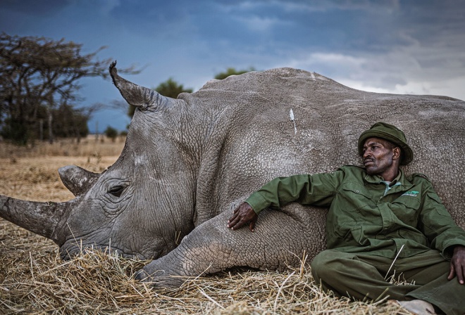  , , Leica, white rhino, Kenya
