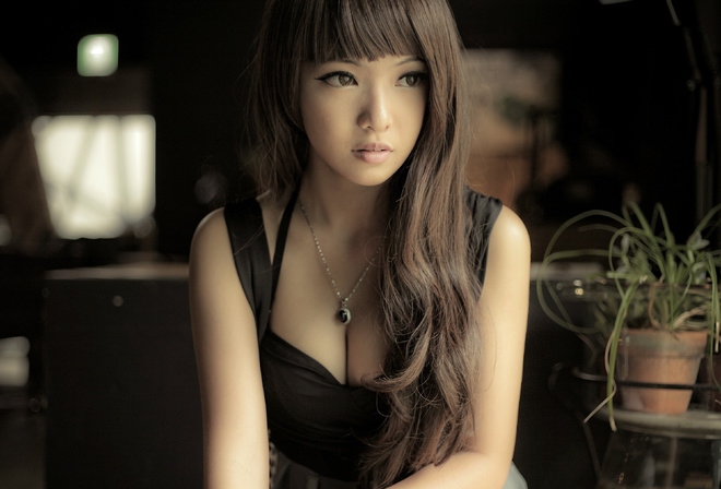 �������, �������, ��������