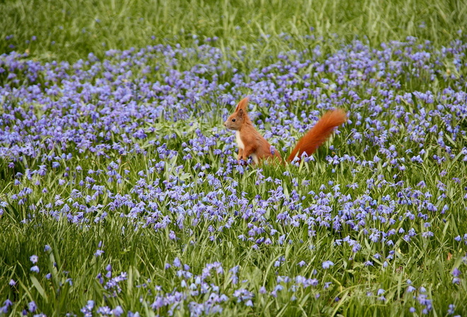 ����, �����, �����