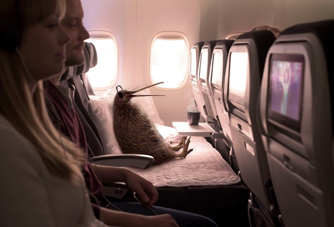 New Zealand,  , Air New Zealand, kiwi, , Better Way to Fly, campaign