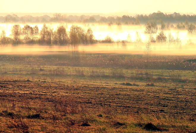 ����, �����, ����