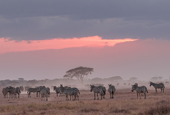 ������, �����