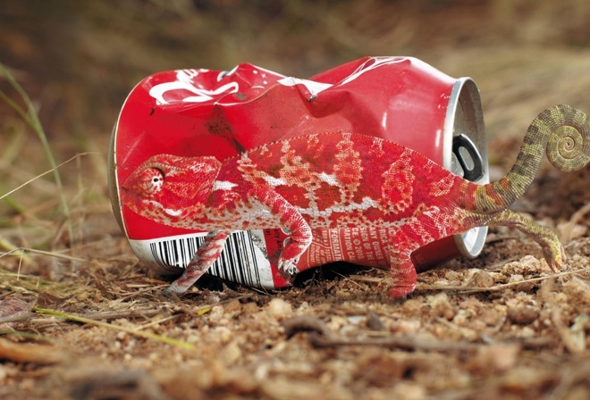     ,   , chameleon, Anti Litter Campaign, Animals Cant Be Recycled, Please Dont Litter