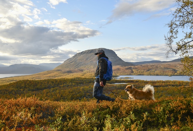 Autumn, Lapland, dog, man, Finland