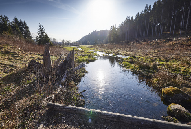 Germany, Black Forest, forested mountain range, Schwarzwald