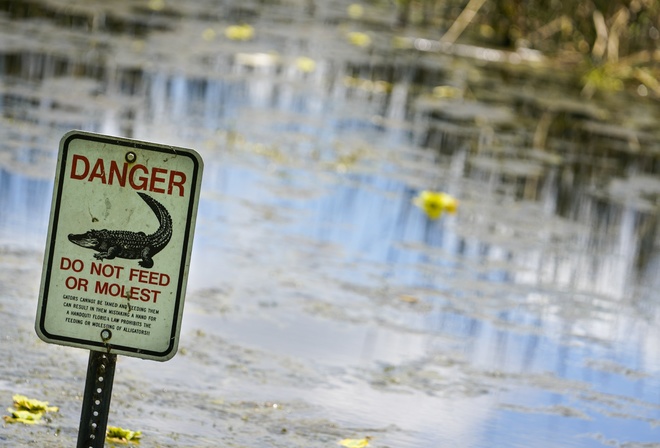 Florida, Wildlife, Taylor Lake, alligator warning sign