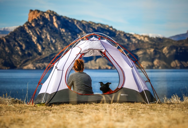Camping Near Los Angeles, travel, pet