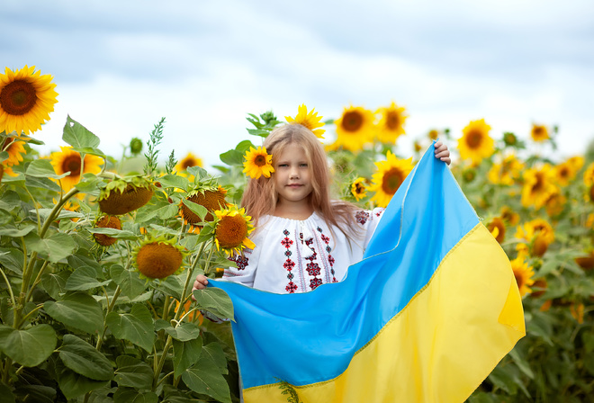 Ukrainian Freedom, Sunflowers, Ukraine