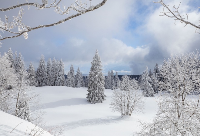 snow, Jura Vaudois Nature Park, winter, Switzerland