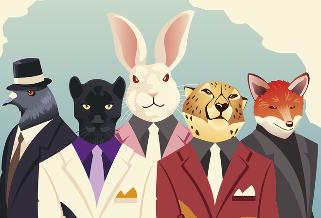 nature, animals, rabbit, fox, leopard