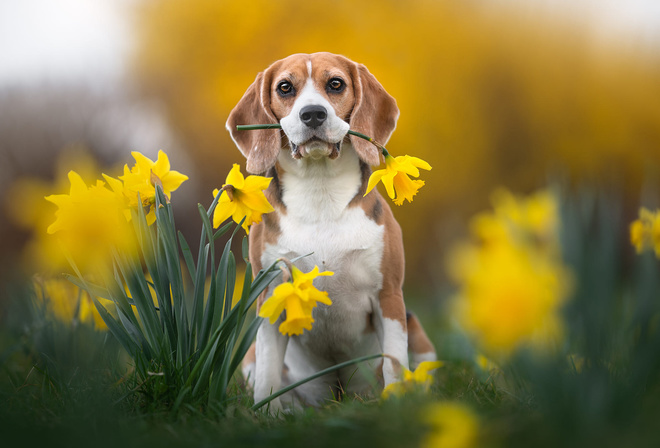 , , , , , , , Iza Lyson