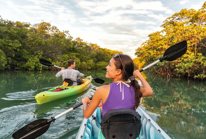 kayaking, mangroves, trip, Islamorada, Florida