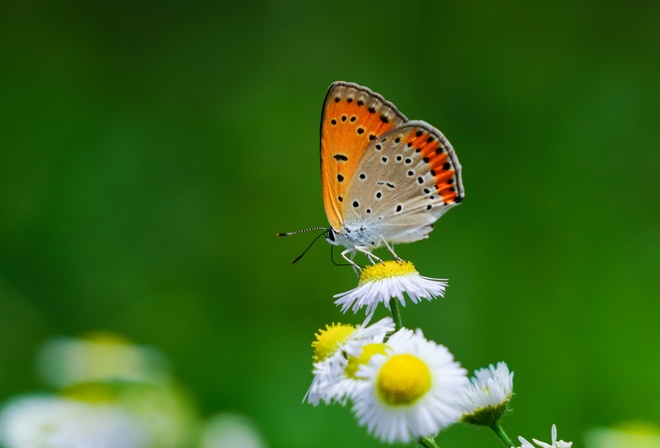 ,   ,  ,  , , , , ,  , , 