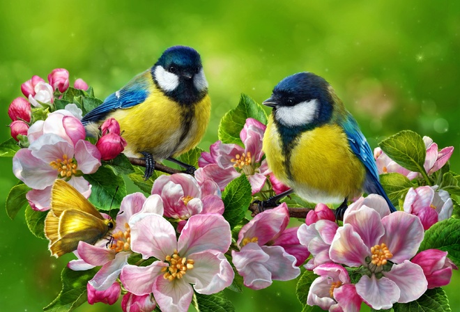 , , ,  , , art, flowers, birds, spring, flowering branch, tits