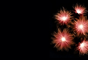 �����, ���, �������