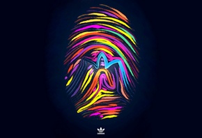 adidas, , 