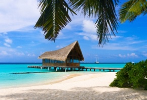 ������, ���������� �����, �����