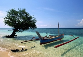 �����, ������, �������