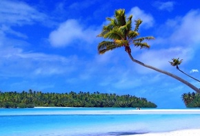 ������, ������, ����